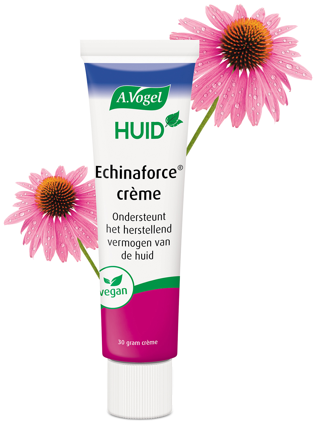 A.Vogel Echinaforce crème 30 gram