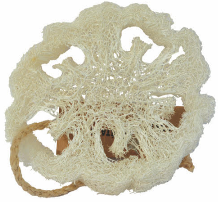 Loofa Natuurspons Plak 1 stuk
