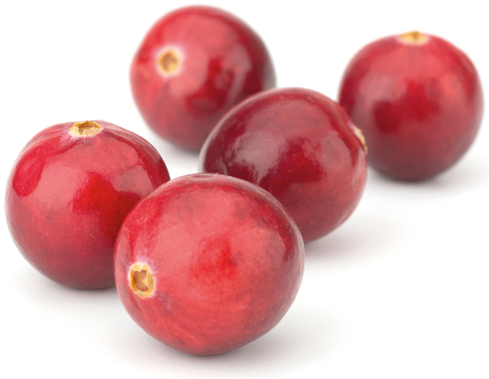 Lucovitaal CranMed Cranberry 28 capsules