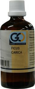 Ficus Carica 100ml
