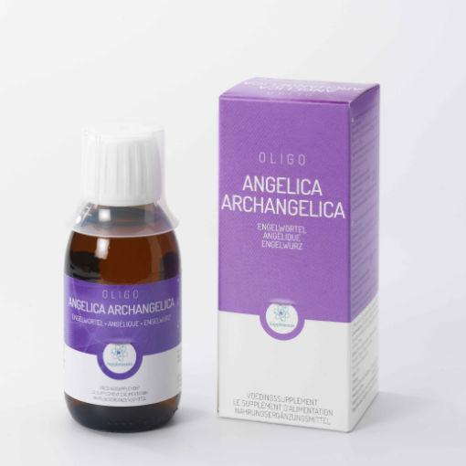 Angelica angelica arch 120ml