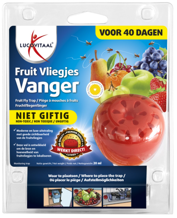Fruitvliegjes Vanger 1 stuk