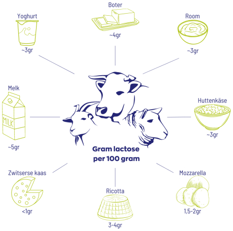 Vitakruid Lactase Optiferm 3000 FCC 90vc