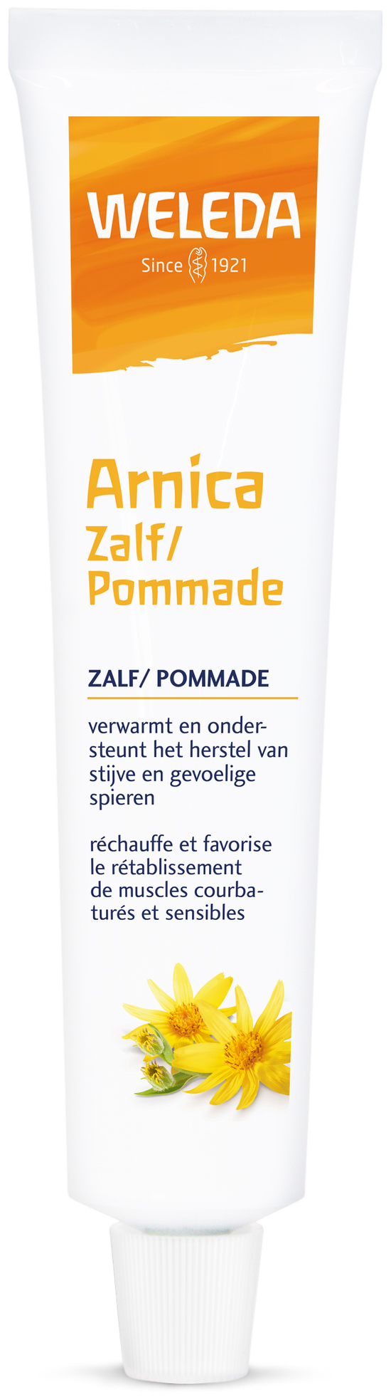 Arnica Zalf 25g