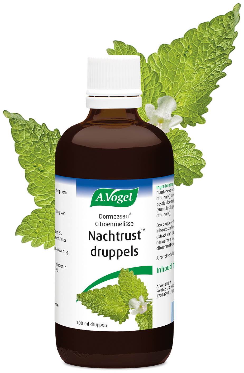 A.Vogel Dormeasan Citroenmelisse Nachtrust druppels 100ml