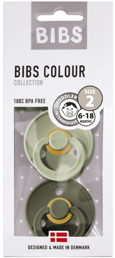 Bibs Fopspeen 1 Boy Green 2 stuks