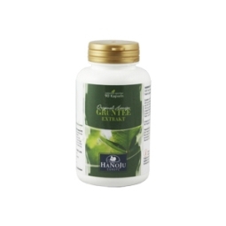 Groene thee extract 400mg 90vc