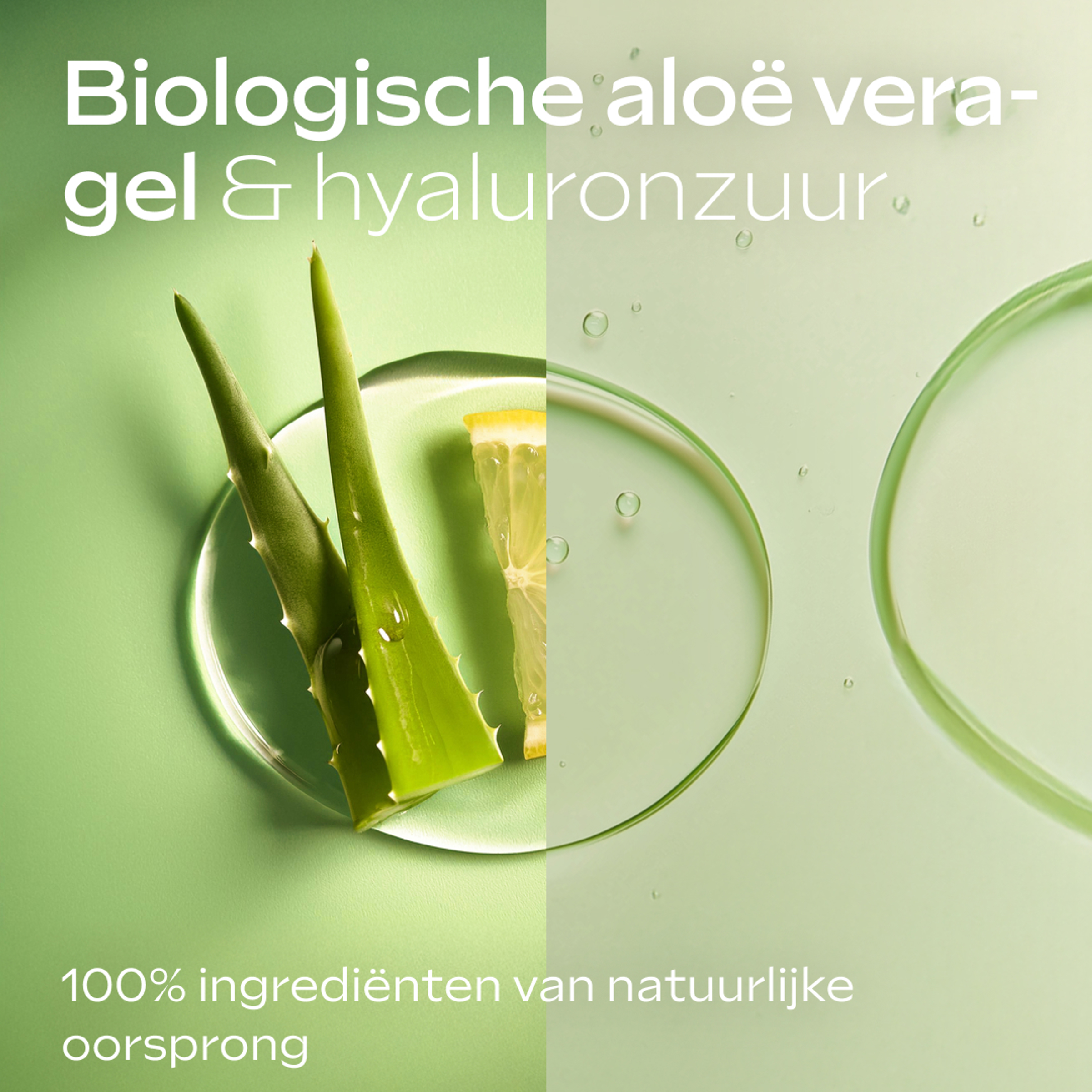 Weleda Body Lotion Hydraterend Aloë Vera & Citrus 250 ML