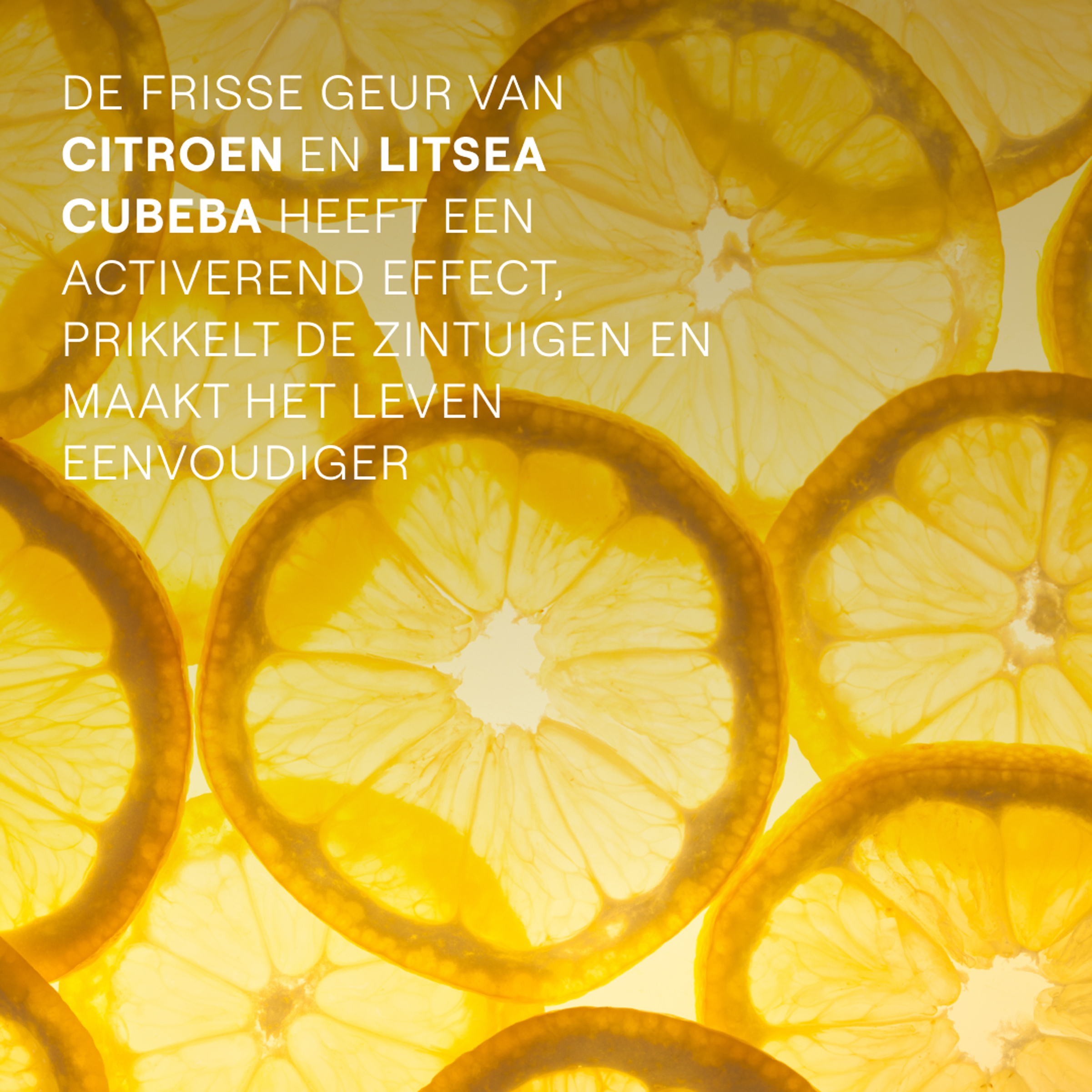 Weleda Citrus Refresh Douchecrème 200 ML