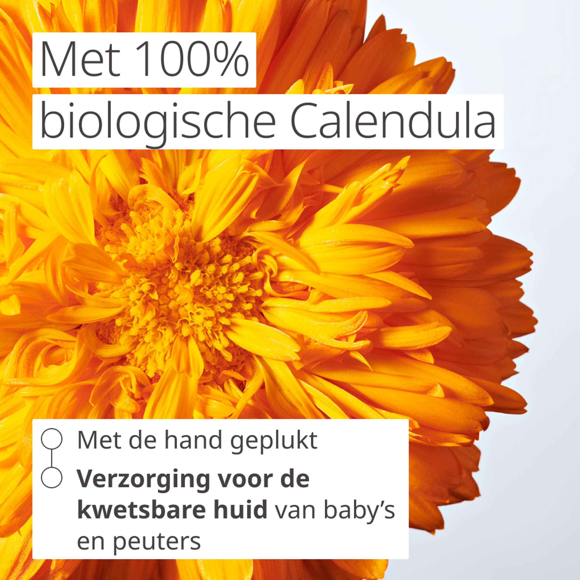 Weleda Calendula Billenbalsem 30ml