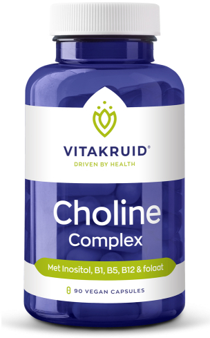 Vitakruid Choline Complex 90 Vegan Capsules