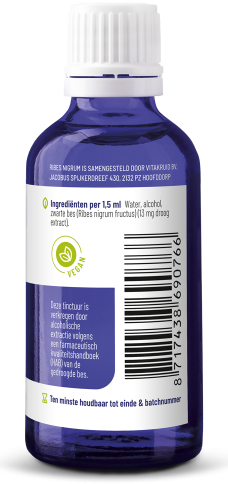 Vitakruid Ribes Nigrum Tinctuur 50ml