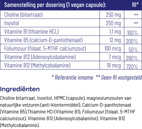 Vitakruid Choline Complex 90 Vegan Capsules