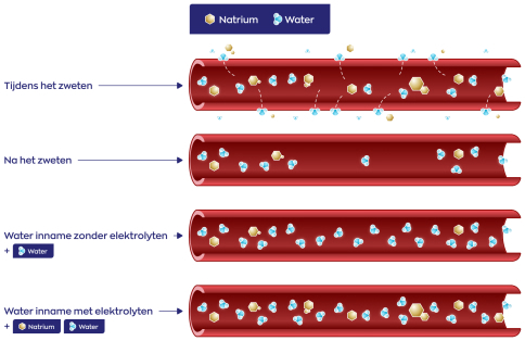 Vitakruid Elite Elektrolyten Vloeibaar 300ML