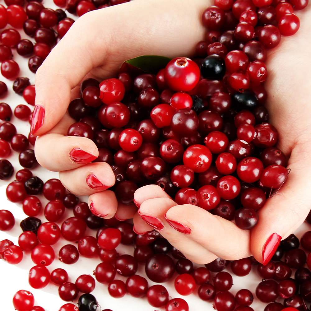 Lucovitaal Cranberry met X-tra Lactobacillus 240 capsules