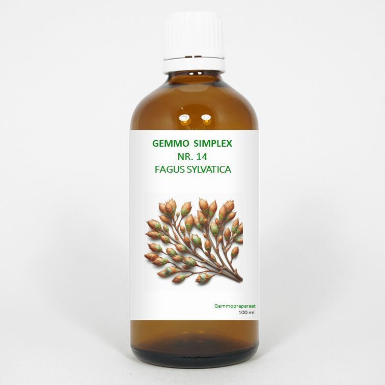 Gemmo simplex 14 fagus sylvatica 100ml