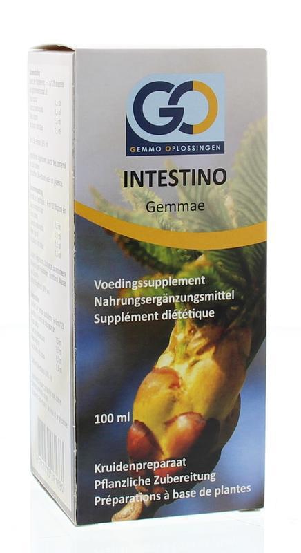 Intestino 100ml