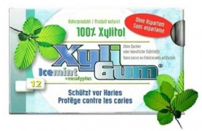 Kauwgom icemint 15 gram