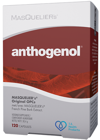 MasQueliers Anthogenol 60 capsules