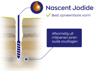 Vitakruid Jodium Nascent Druppels 30ml