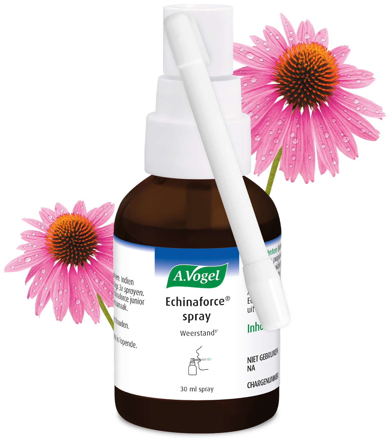 A.Vogel Echinaforce Immuunspray 30ML