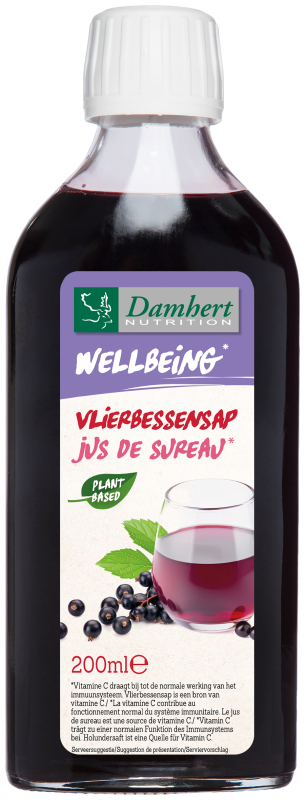 Vliersiroop Ambachtelijk 200 ML