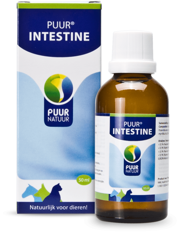 Intestine 50ml