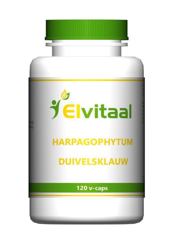 Duivelsklauw harpagophytum 120st
