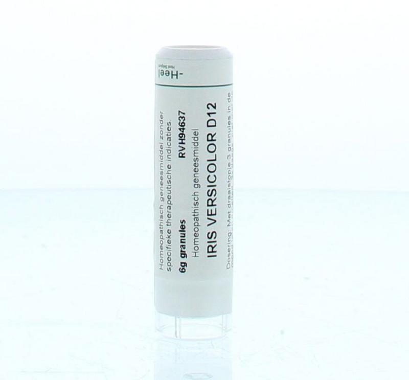 Iris Versicolor D12 6 Gram