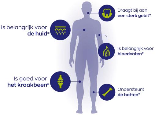 Vitakruid Collageen Solugel Poeder met Vitamine C en D 250 Gram