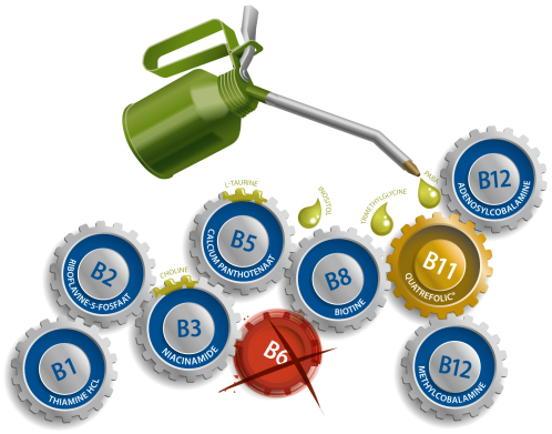 Vitakruid B-Complex Actief Zonder B6 90 Vegetarische Capsules