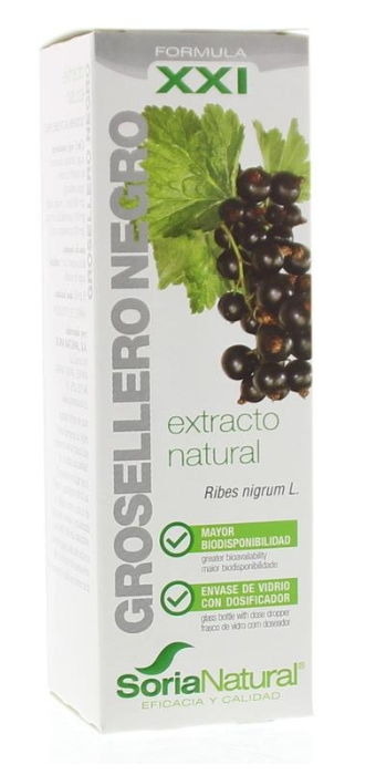 Ribes nigrum extract glycine XX1 50ml