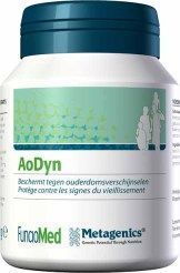 Metagenics Aodyn 85 gram