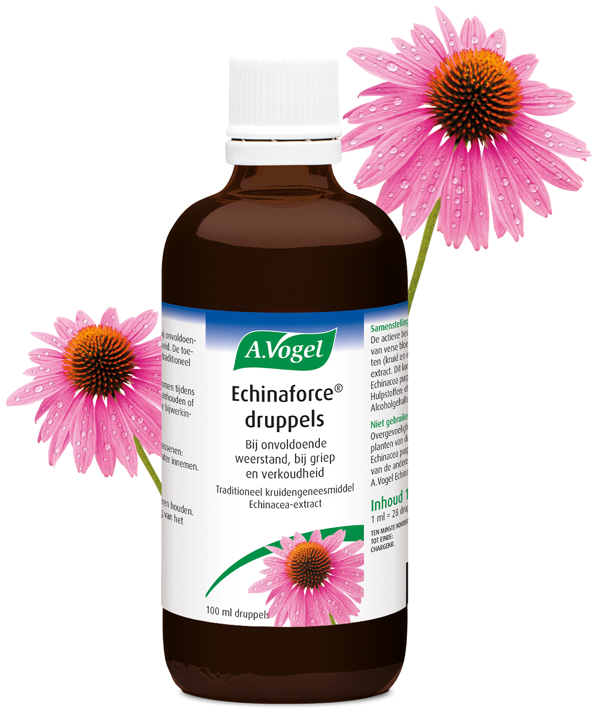 A.Vogel Echinaforce Druppels 100 ML