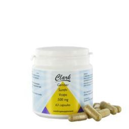 Gember/sunthi 500 mg 63cap