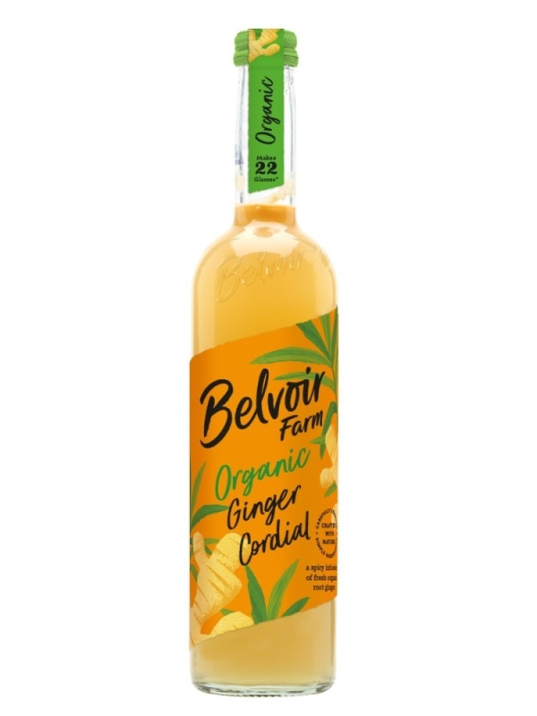 Fruit Farms Gember Siroop Biologisch 500ml