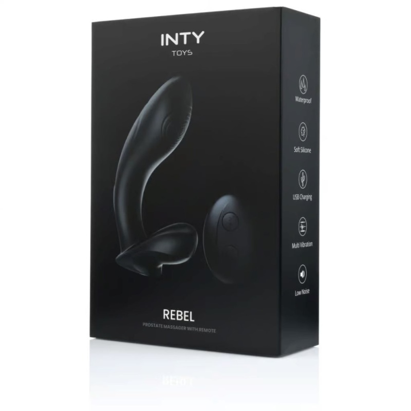 INTY Toys Rebel 1st