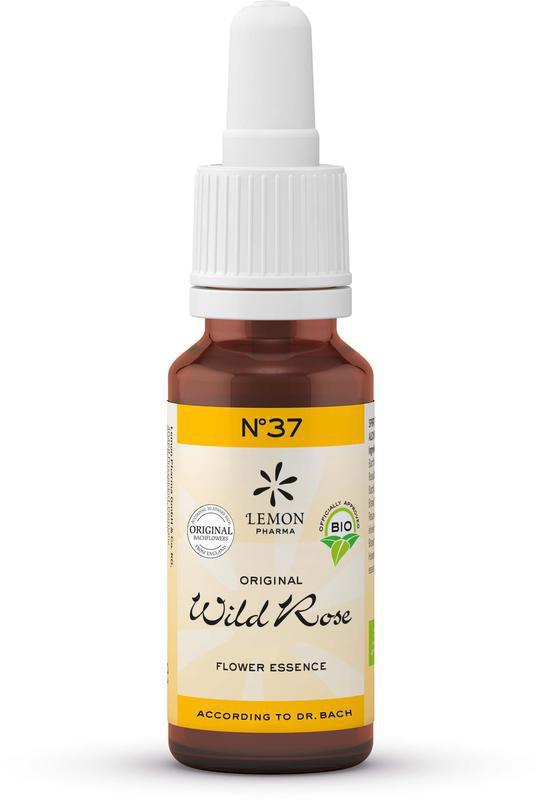 Bach Nr. 37 Wild rose 20ml