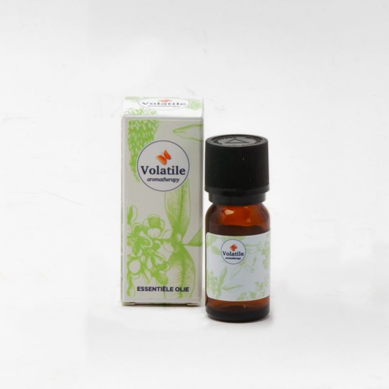 Volatile Lavendel Franse (Lavandula angustifolia) 5ml