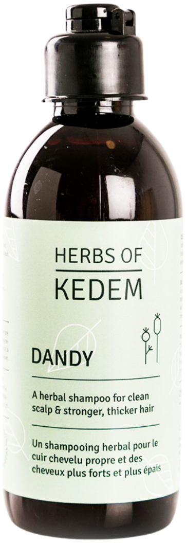 Dandy Kedem Herbs Antiroosshampoo 250ml 1 stuk