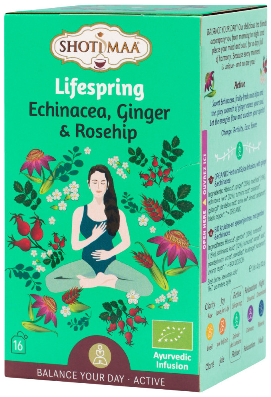 Lifespring Thee Enchinacea, Ginger & Rosehip 16 Stuks