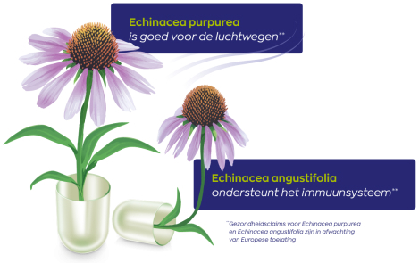 Vitakruid Echinacea Purpurea-Angustifolia 90 Vegan Capsules