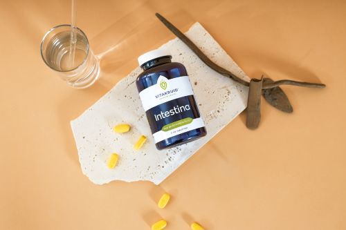 Vitakruid Intestina 120 tabletten